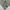 8 Seconds Asymetric Jacket Trench Coat photo 4
