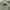 8 Seconds Asymetric Jacket Trench Coat photo 6
