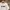 XLARGE Vintage Streetwear T-shirt Pria white photo 2