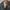 Carhartt Vintage Loafer Pria navy photo 3
