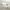 Reebok Sportswear Minimalist Sweatshirt Pria white photo 1