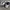 nike air monarch photo 2