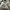 maison margiela shoes photo 3