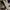 Sandal Birkenstock Boston Soft Footbed photo 4