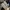 Sandal Birkenstock Boston Soft Footbed photo 7