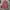 GUCCI WOMEN JACKET photo 2