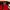 DGK Skateboard Snapback photo 5