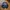 Crewneck Ucula Jansport