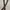 Braided brown Leather belt photo 3