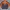 Cleveland browns NFL jacket photo 8