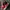 VANS Streetwear Skater Sneakers Pria red photo 1