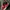 VANS Streetwear Skater Sneakers Pria Red