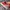 VANS Streetwear Skater Sneakers Pria red photo 2