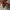 VANS Streetwear Skater Sneakers Pria red photo 3