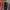 VANS Streetwear Skater Sneakers Pria red photo 4