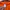 Kaos Polos Orange photo 4