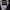 Y2k  photo 6