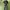 GU trouser relax pants warna telur asin photo 2