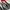Nike Sportswear Sneakers Pria white red photo 7