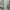 White Ruched Cotton Top photo 3