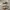 Vans Old Skool photo 1