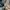 Land's End Blocktech Utility Parka Outdoor Jacket photo 7