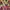 JERSEY ARSENAL AWAY 1991-1993 ORIGINAL 100% photo 3