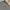 Dickies Guniene Cargo Pants Navy photo 7