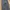Dickies Guniene Cargo Pants Navy photo 3