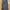 Dickies Guniene Cargo Pants Navy photo 2