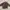 Leather Jacket Vintage Fationi photo 5