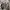 VANS Casual Sneakers Pria white photo 5