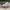 VANS Casual Sneakers Pria white photo 2