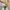 VANS Casual Sneakers Pria white photo 4