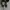Balenciaga Luxury Avant Garde Heels Wanita black photo 2