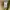 Barbour sl spey jacket photo 6