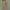 CELINE Luxury Avant Garde Pria yellow photo 1