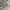 Dior Luxury Avant Garde Pria gray photo 2