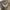 Kangol Luxury Casual Hat Pria multicolor photo 1