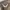 Kangol Luxury Casual Hat Pria Multicolor