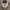 Kangol Luxury Casual Hat Pria multicolor photo 4
