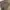 Kangol Luxury Casual Hat Pria multicolor photo 7