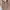Furla tessa satchel saffiano soft pink photo 4