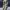 Trouser cargo military photo 7