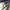 Trouser cargo military photo 9