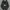Hoodie Nike Anoraks photo 2
