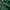 Lacoste Casual Polo shirt Pria green photo 4