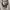 Ghe Guevara Face Tee photo 1