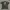 Kaos 00s Sakura Wars 3 Is Paris Burning ? Sega Game Promo Of photo 1