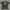 Kaos 00s Sakura Wars 3 Is Paris Burning ? Sega Game Promo Of